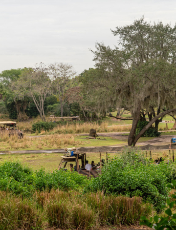 Kilimanjaro Safari