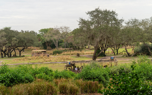 Kilimanjaro Safari